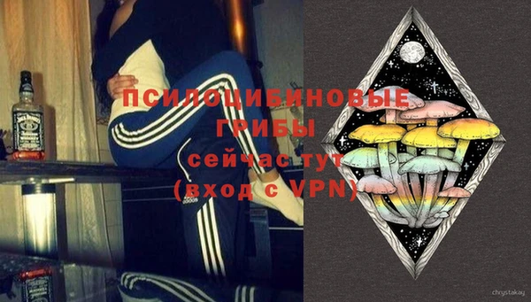 ALPHA-PVP Алексеевка
