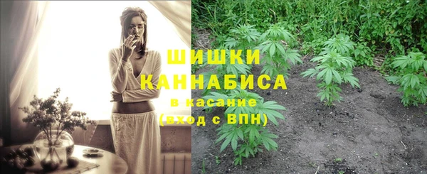 PSILOCYBIN Алексин