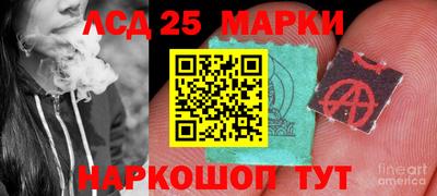 спайс Коммунар