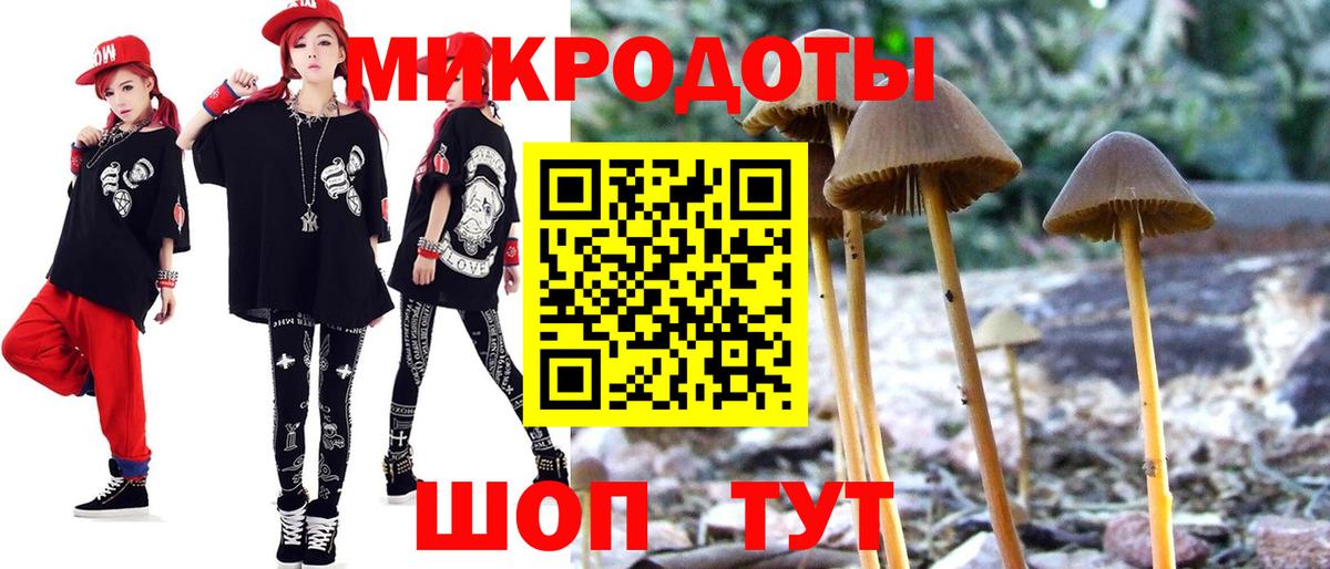 Псилоцибиновые грибы GOLDEN TEACHER Ленинск-Кузнецкий