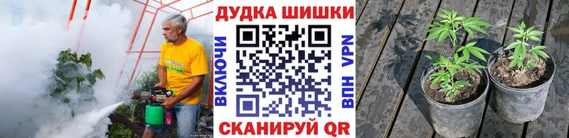 Конопля планчик  OMG как войти  Ленинск-Кузнецкий  цены  